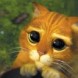 Le chat Pott�